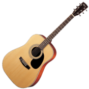 Acoustic Guitar Bags and Cases