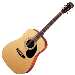 Acoustic Guitars