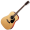 Akustiskās ģitāras (metāla stīgu)
