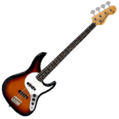Bass Guitar Bags and Cases
