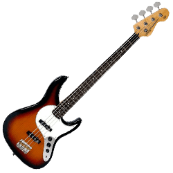 Bass Guitar Bags and Cases