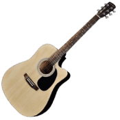 Electro Acoustic Guitars