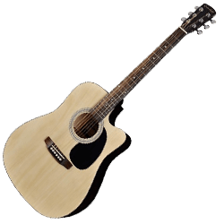 Electro Acoustic Guitars