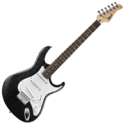 Stratocaster Type Guitars