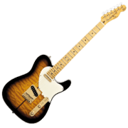 Telecaster Type Guitars