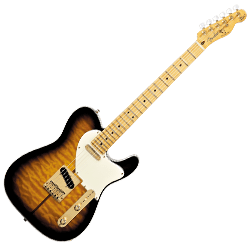 Telecaster Type Guitars