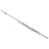 Flutes