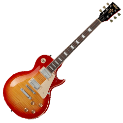Les Paul Type Guitars