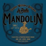 Mandolin Strings