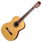 Classical Guitar Bags and Cases