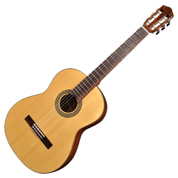 Classical Guitar Bags and Cases
