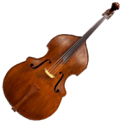 Double Bass