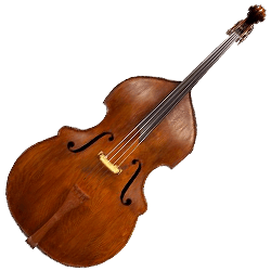 Double Bass