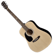 Left Handed Acoustic Guitars