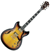 Semi Acoustic Electric Guitars