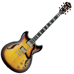 Semi Acoustic Electric Guitars