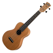 Ukulele Bags and Cases