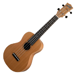 Ukulele Bags and Cases